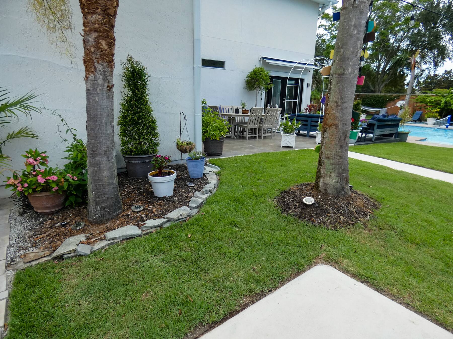 A Lisa-designed backyard edge with palms, stone curbing, and freshly cut sod in Jacksonville