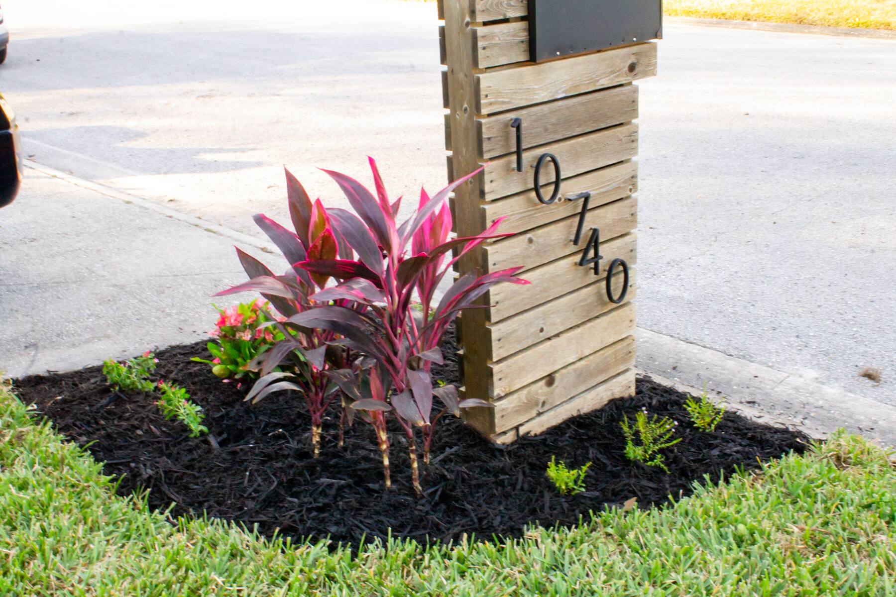 Curb Appeal & Foundation Plantings