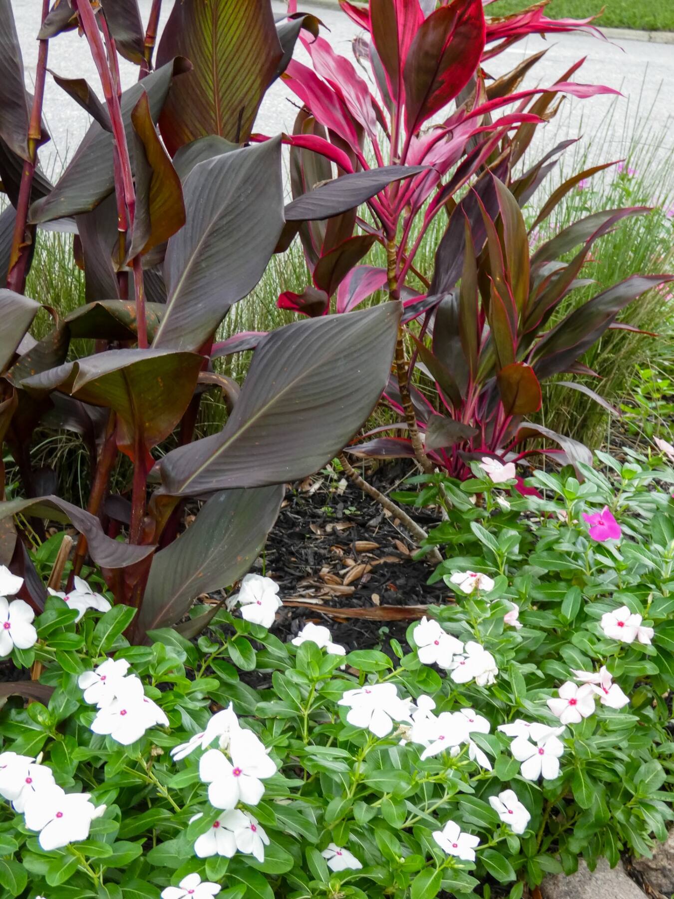 Garden Bed Design & Installation