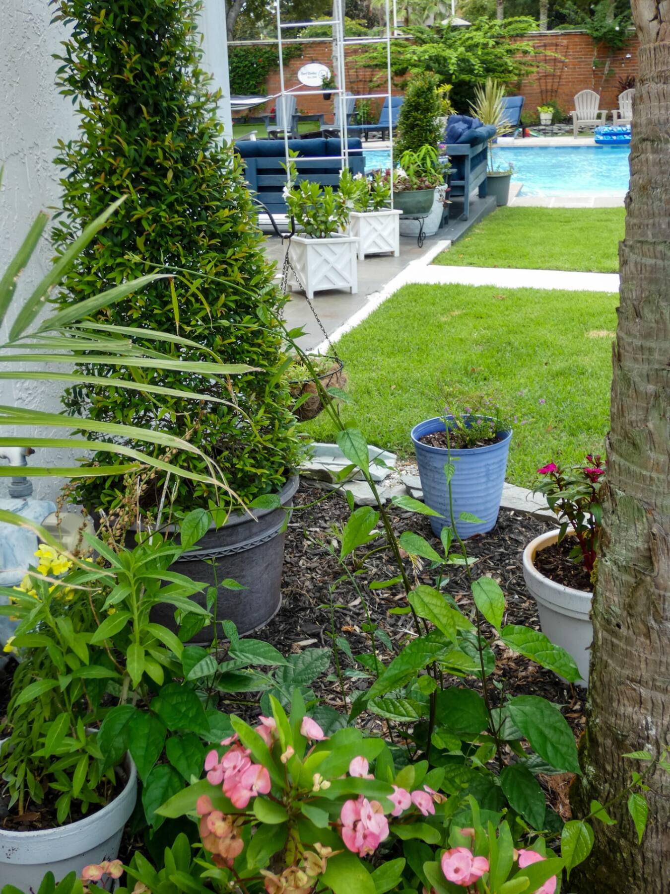 Poolside Container Garden